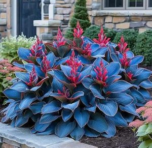 Хоста Грин Фог купить по цене от 669р. в интернет-магазине «Посадика» с доставкой почтой в в Рошалье и по всей России – [изображение №1].